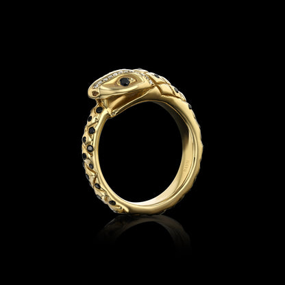 Black Diamond Ouroboros