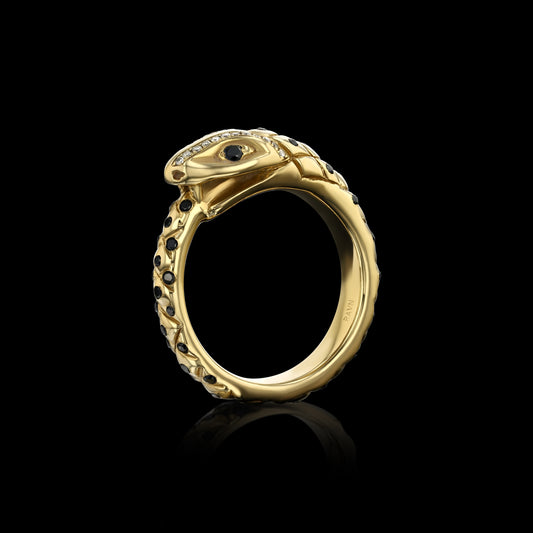 Black Diamond Ouroboros