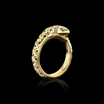 Black Diamond Ouroboros