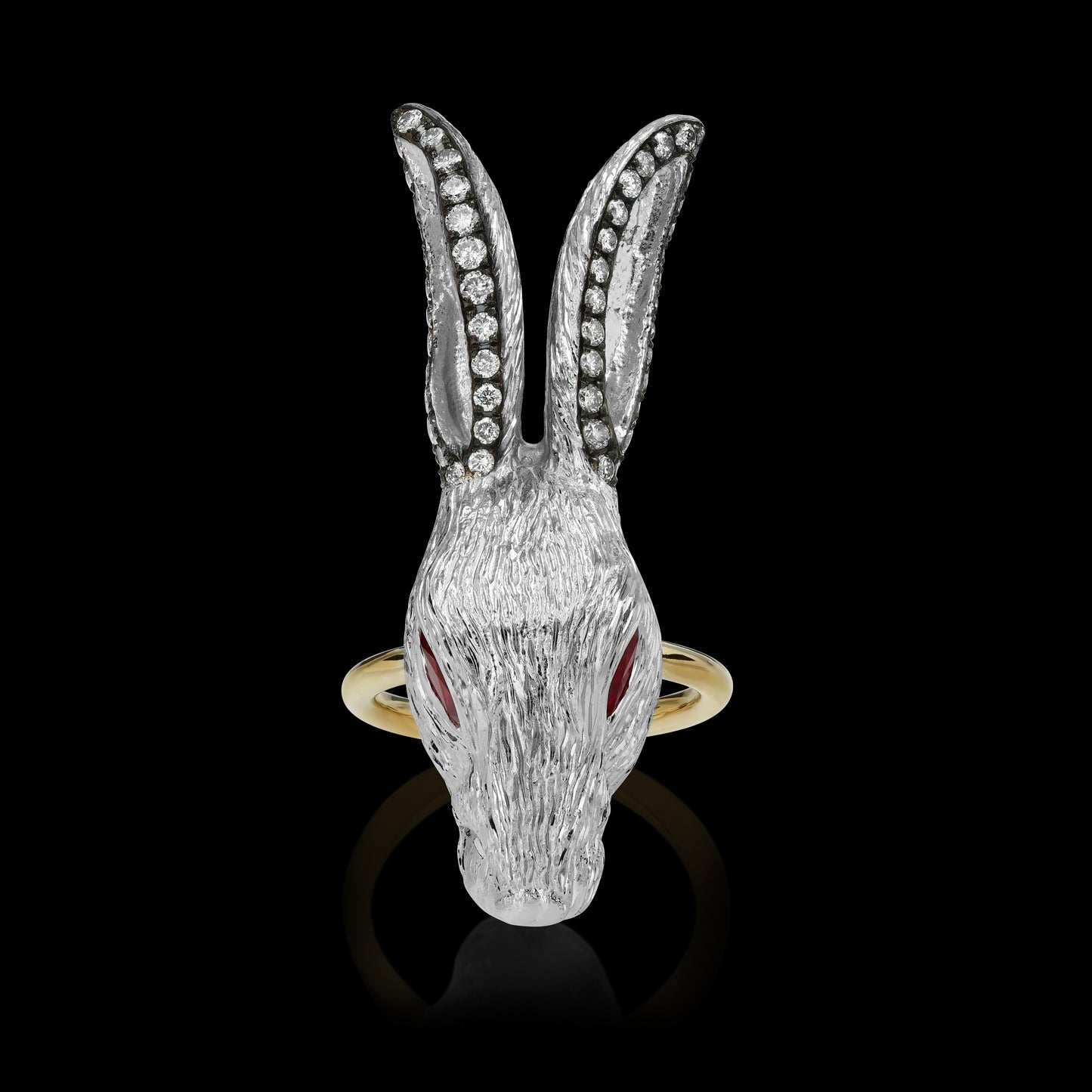 Wonderland Rabbit