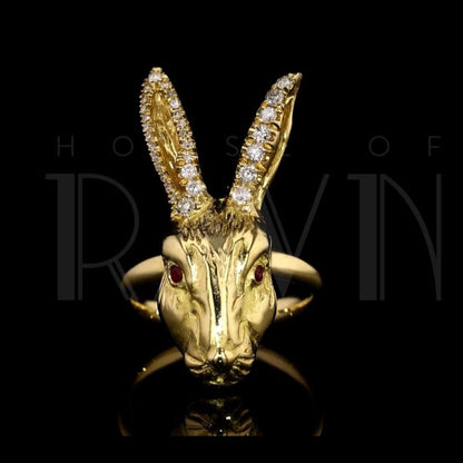 Golden White Rabbit