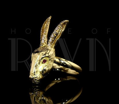 Golden White Rabbit