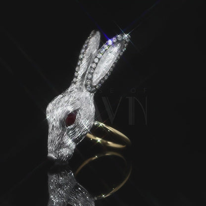 Wonderland Rabbit